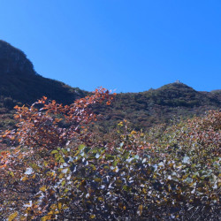 北京药王谷风景区-门票