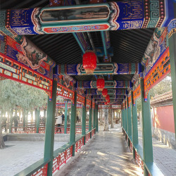 颐和园深度游120分钟｜不含门票｜纯玩团