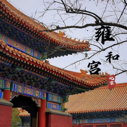 雍和宫大咖讲解2小时+配无线耳麦含门票