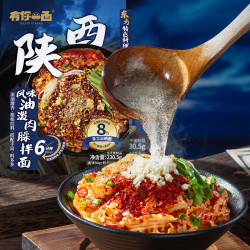 有你一面 陕西油泼风味肉臊面 100g*3+30g*2 挂面
