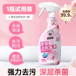 老管家 花香洁厕泡沫 洁厕灵厕所马桶清洁剂 500ml 强力除垢除臭清香型