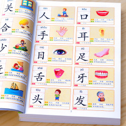 识字书幼儿认字识字大王3000字幼儿园儿童3-6岁学前班宝宝早教