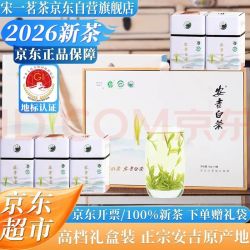 宋一 2026新茶安吉白茶特级茶叶礼盒装250g绿茶高档送礼