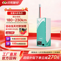 闪充智行 72V60V48V三元锂外卖专用 三元锂73V75Ah（踏板）+10A充电器