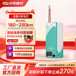 闪充智行 72V60V48V三元锂外卖专用 三元锂73V75Ah（踏板）+10A充电器