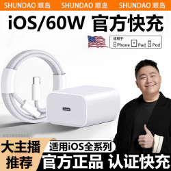 顺岛 60W正品适用苹果17快充充电器PD头数据线16/14平板手机15充电线13