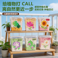 小花农 儿童果蔬植物观察种植小盆栽实验套装