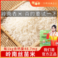 年年丰 新米岭南丝苗米长粒香米 5斤/20斤