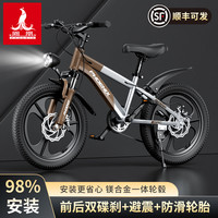 PHOENIX 减震碟刹变速山地车
