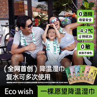 ecowish 冰感不粘腻防叮咬运动湿巾 40片*5包