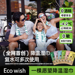 ecowish 冰感不粘腻防叮咬运动湿巾 40片*5包