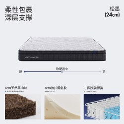 LYNPON HOUSEWARE 松墨 弹簧乳胶床垫 1350mm*2000mm 松墨