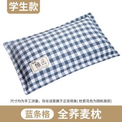 蚕茜 ZF01 荞麦壳枕头 38*8*9cm 蓝条格
