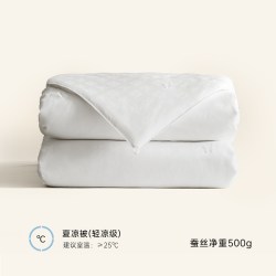 银桑 INESANCE 银桑 6A桑蚕丝被 子母被 150X210cm 夏凉被