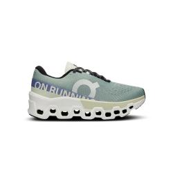 ON RUNNING 舒适织物减震耐磨轻便低帮女子跑步鞋