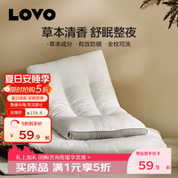 LOVO 罗莱生活 防螨决明子草本护颈枕
