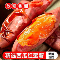 蜜薯带箱5斤