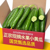 移动端：果乡趣 现摘 水果黄瓜