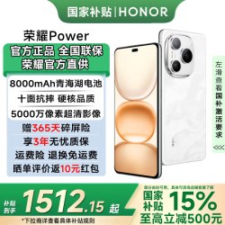 荣耀 Power  8000mAh青海湖电池 荣耀自研C1+通讯芯片 十面抗摔 AI 5G手机  雪原白 12GB+256GB