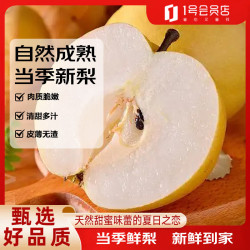 趣尝鲜 砀山新玉蜜梨 净重5斤 单枚300g 26年新梨 水果源头直发包邮