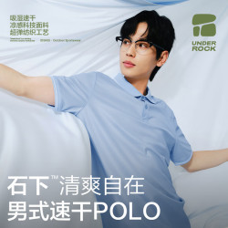 网易严选 男士商务5A抗菌冰感POLO衫