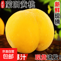 京东 山东蒙阴黄桃新鲜水果黄金桃子脆蜜毛油送礼品物盒 特级果 5斤装净重4.5斤