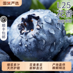福瑞达 2盒云南蓝莓新鲜水果高山L25花香当季现摘大果鲜果旗舰店顺丰次日