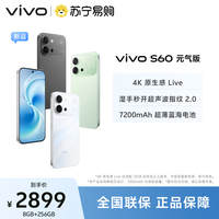vivo S60 元气版 仲夏夜 8GB+256GB 全网通5G新品手机