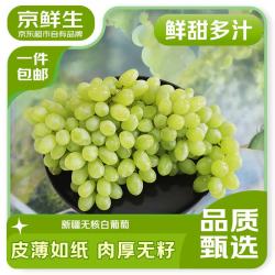 京鲜生 新疆无核白葡萄净重3.5斤马奶无籽提子源头直发