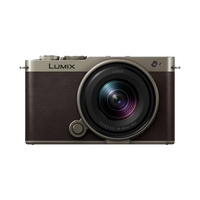 Panasonic S9N 全画幅无反入门微单照相机--钛合金金色
