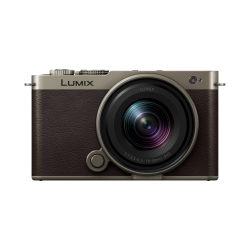 Panasonic S9N 全画幅无反入门微单照相机--钛合金金色