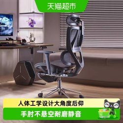 永艺 沃克pro 人体工学椅 灰色 无搁脚