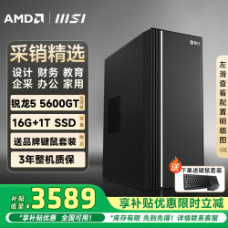 攀升 &微星  ( AMD锐龙R5-5600GT/16G/1T 商务键鼠）免息设计商用企采办公家用台式组装电脑主机整机