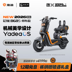 雅迪 B60s 绝区零邦布款 电动自行车