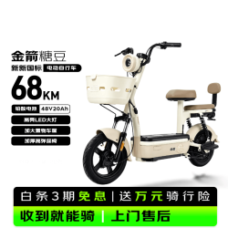 金箭 糖豆 48V20Ah铅酸电池 咖色 电动自行车