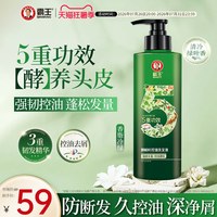 霸王 强韧丰盈洗发水侧柏叶生姜洗发露 500ml 强韧丰盈 防脱控油蓬松去屑