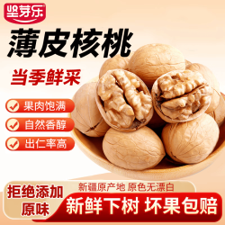 坚芽乐 核桃 新疆阿克苏薄皮核桃 原味核桃 500g