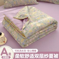 Violet 水洗双层纱夏被空调被夏季天薄款夏凉被子可机洗被芯双人四季通用