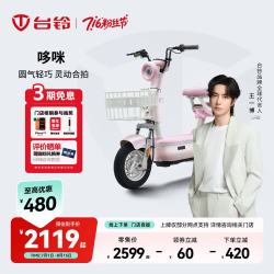 台铃 哆咪 新国标电动自行车 长续航 48V24Ah 1.75m车长 成人代步车