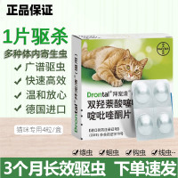 拜宠清 猫拜耳 猫咪体内驱虫药除蛔虫线虫绦虫寄生虫 内驱猫用(4片/盒)