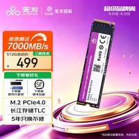 云彣 紫光国芯 PCIe 4.0 512GB SSD 7000MB/s