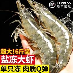 津尚鲜 正宗鲜活青岛大虾新鲜速冻基围虾特大号海虾厄瓜多尔白虾水产批发 鲜活速冻 6斤(净重)