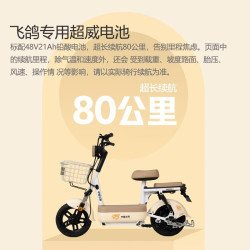 飞鸽 E75Plus新国标电动自行车长续航80KM 铅酸电池48V21Ah