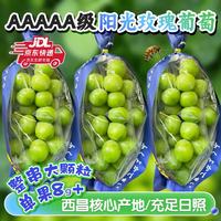 庾丰 四川大凉山阳光玫瑰葡萄 5斤(净果4斤)整串大果粒 源头直采 JD/顺丰送货上门