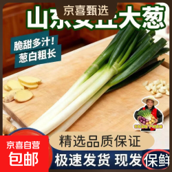 农家 山东安丘大葱 去皮去半叶 3斤