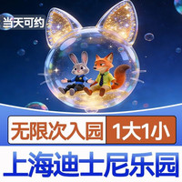 上海迪士尼乐园标准1日门票