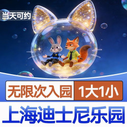 上海迪士尼乐园标准1日门票