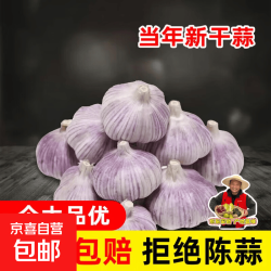 今年大蒜紫皮大蒜新蒜产地直销 5-6cm中果1斤