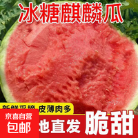 京喜自营-专用品牌 冰糖正宗麒麟西瓜脆甜西瓜8424薄皮新鲜水果自提鲜果麒麟瓜 6-8斤