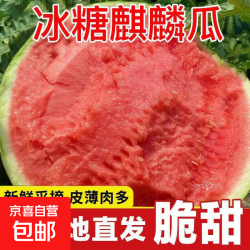 京喜自营-专用品牌 冰糖正宗麒麟西瓜脆甜西瓜8424薄皮新鲜水果自提鲜果麒麟瓜 6-8斤